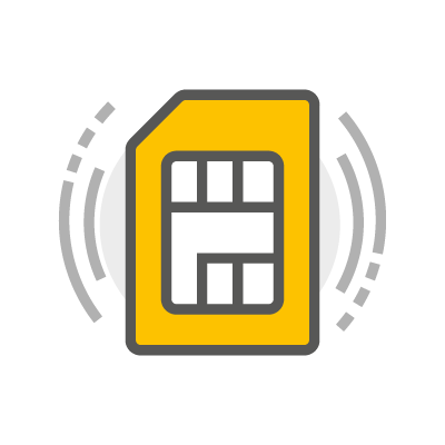 SIM card